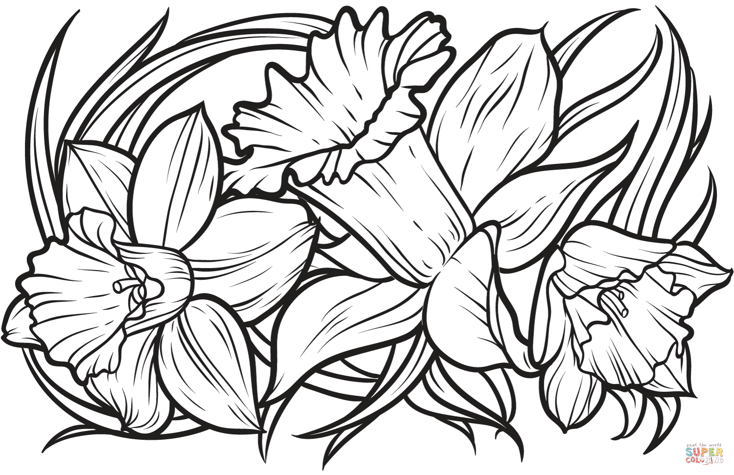 Daffodil coloring page | Free Printable Coloring Pages