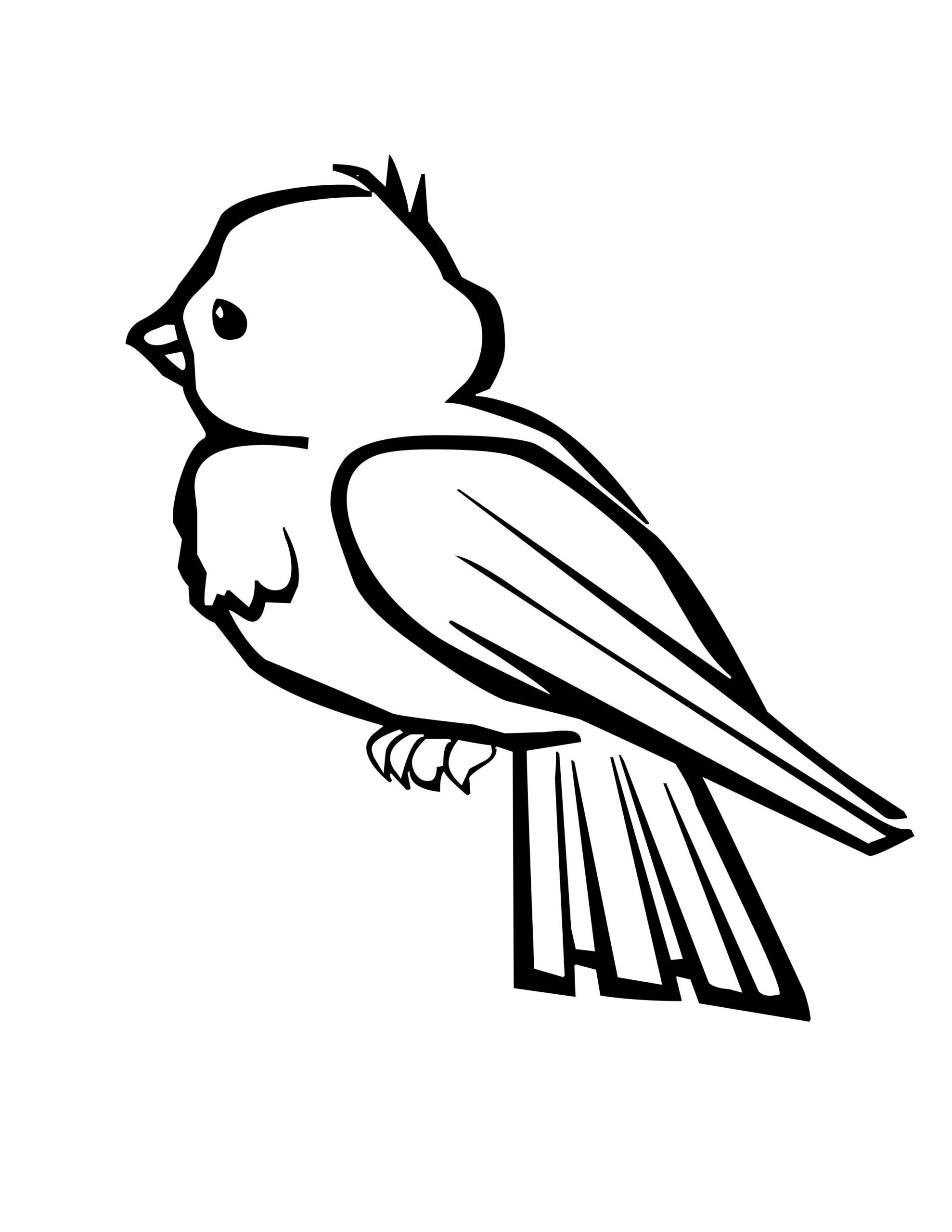 Bird Coloring Pages For Kids Page Jpg With Images Cute To Print Free  Printable – Dialogueeurope