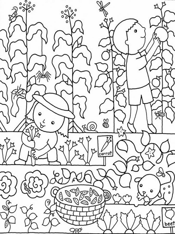 Coloring pages ideas : 99 Outstanding Garden Coloring Pages The ...