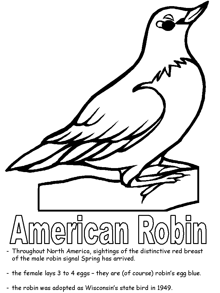 American Robin coloring page