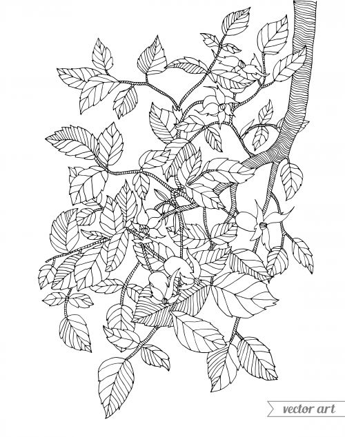 Branch Coloring Page - KidsPressMagazine.com | Coloring pages, Art therapy  activities, Disney art diy