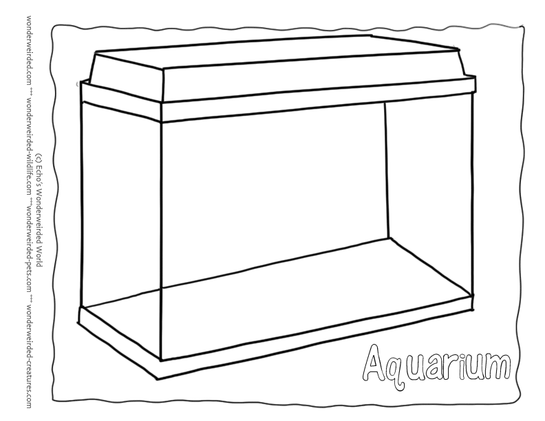 Fish Tank - Coloring Pages For Kids And For Adults - Coloring Home