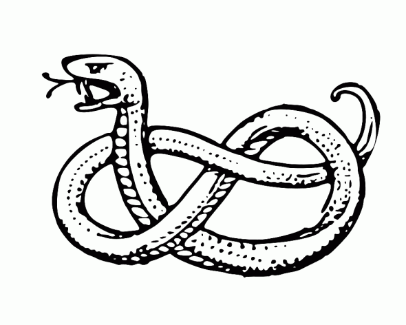 Download Snake Fangs Coloring Pages - Coloring Home