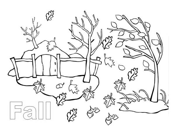 Autumn Season In My Country Coloring Page : Color Luna