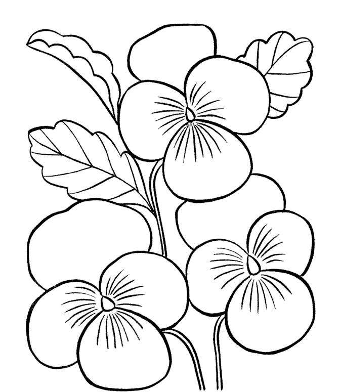 Printable Flower Coloring Pages Flowers Nature Pansy Flowers Printable 2021  417 Coloring4free - Coloring4Free.com