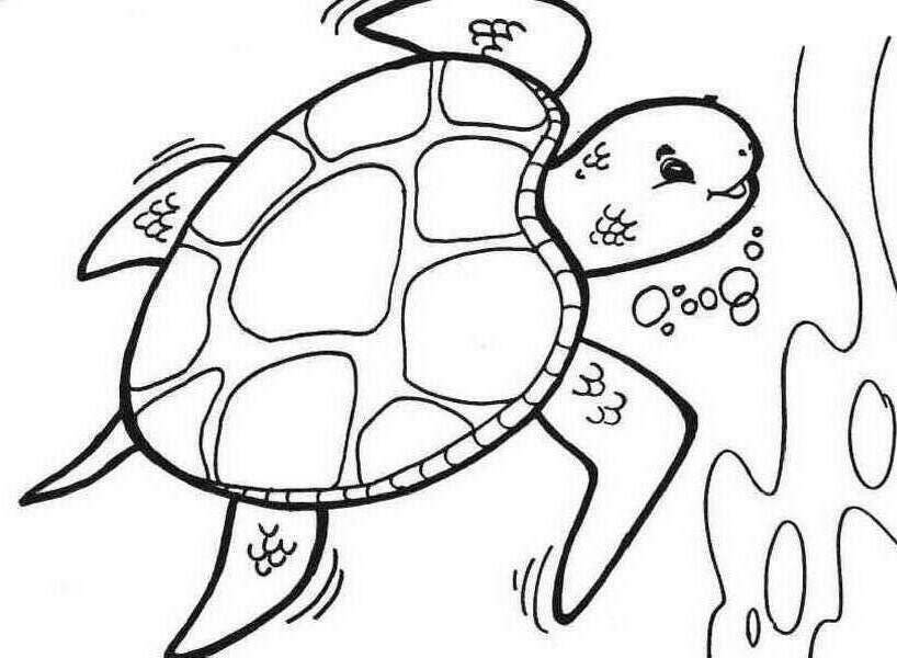 Sea Turtle Diving Deep Coloring Page - Free & Printable Coloring ...
