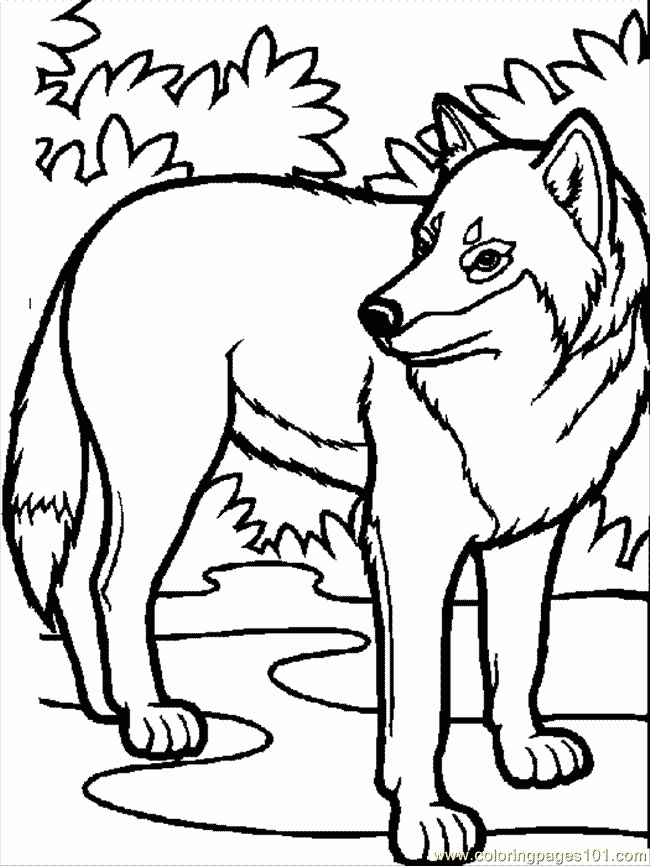 Best Free Printable Wolf Coloring Pages For Kids, Knack Coloring ...