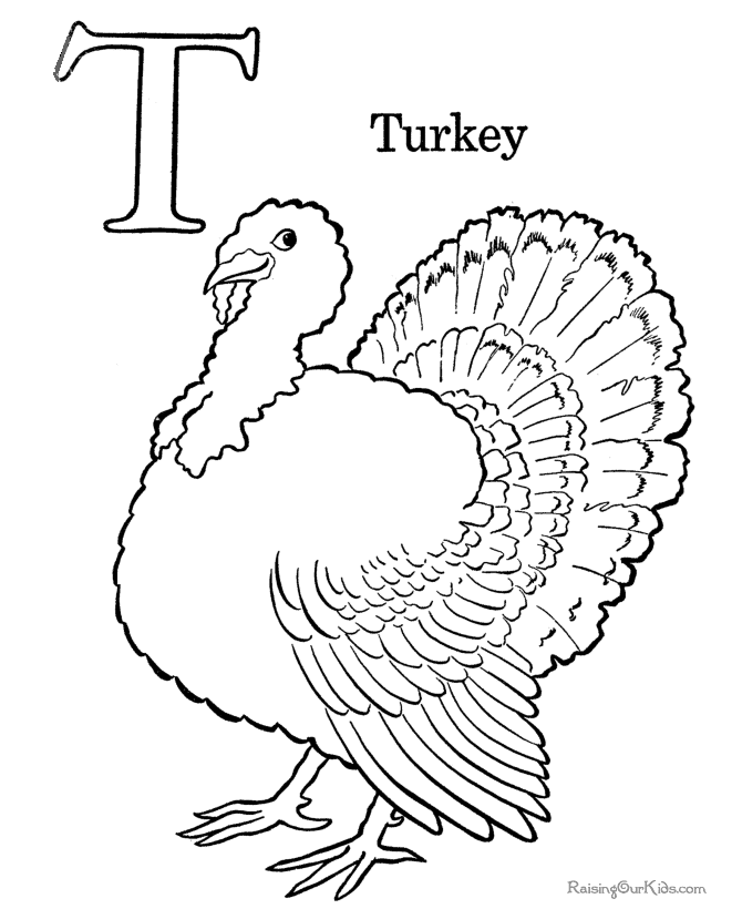 Coloring Pages Turkeys Preschool - High Quality Coloring Pages