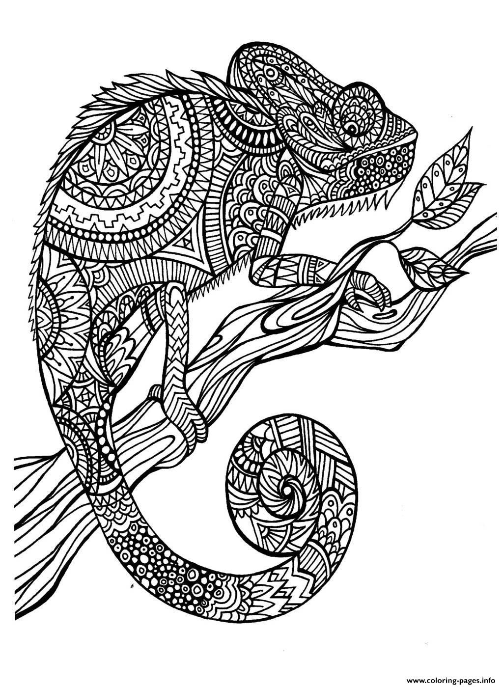 Print adult cameleon patterns Coloring pages