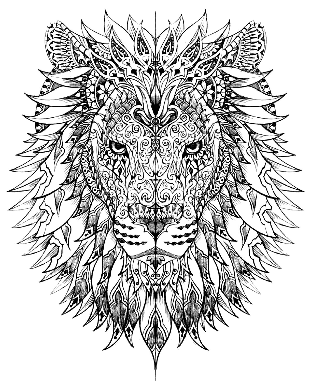Lion head - Lions Adult Coloring Pages