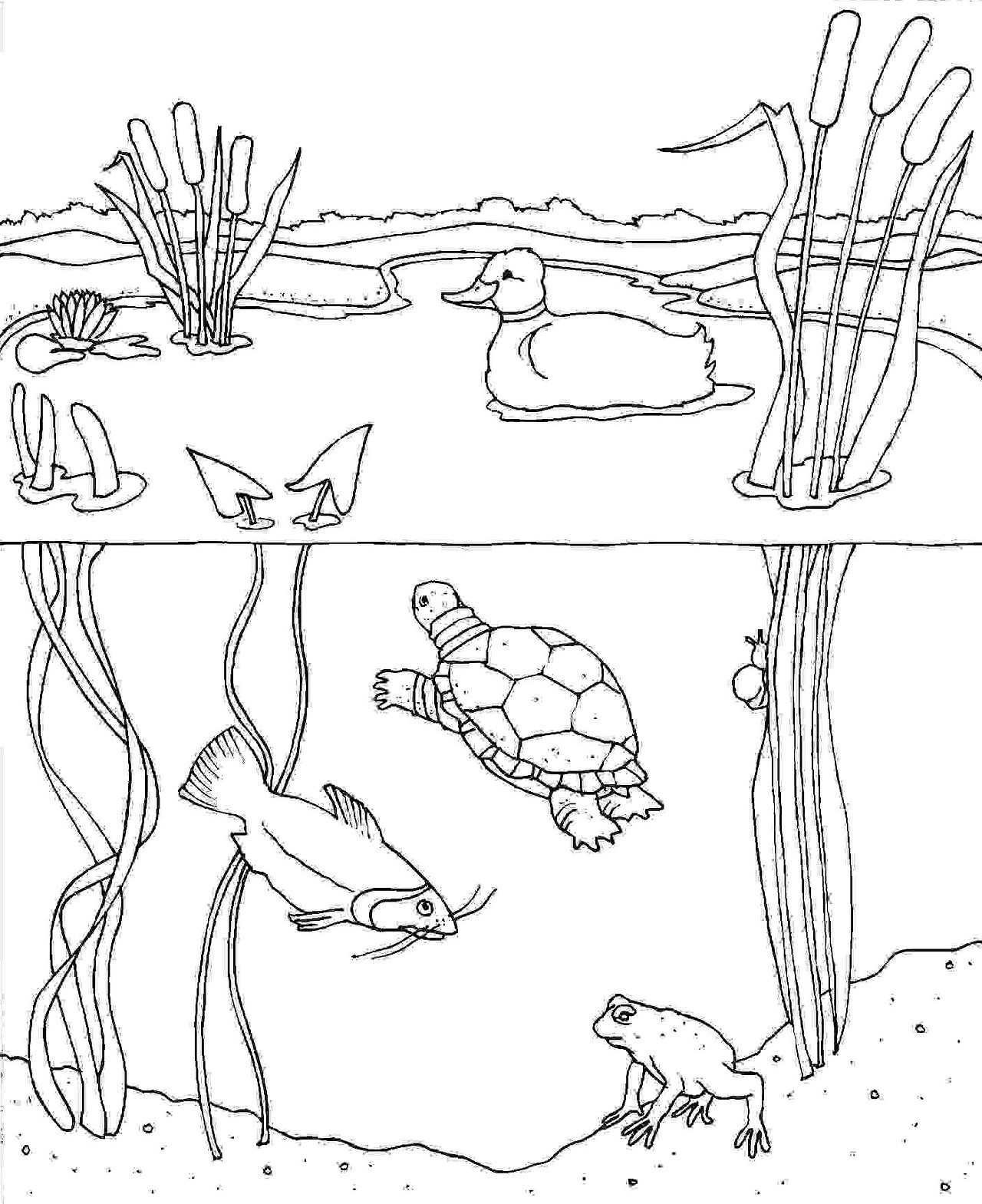 Coloring Pages : Nature Books For Children Playhouse Disney ...