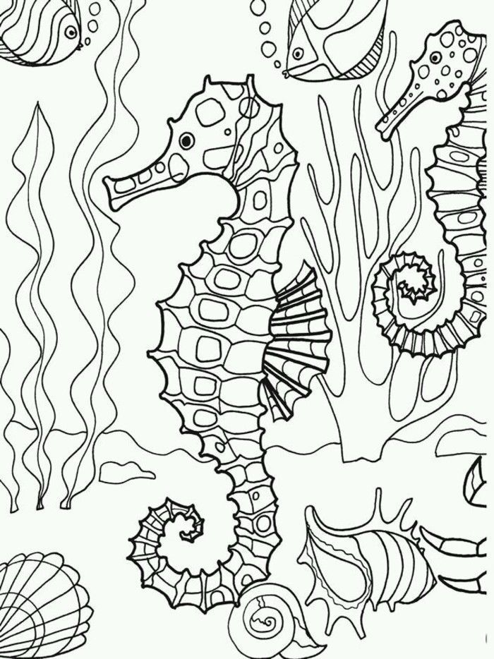 Seahorse Adult Coloring Pages Coloring Home