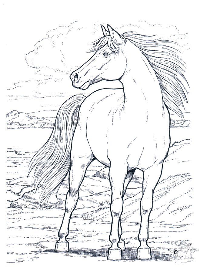 Adult Coloring Pages | Dover Publications, Coloring ...