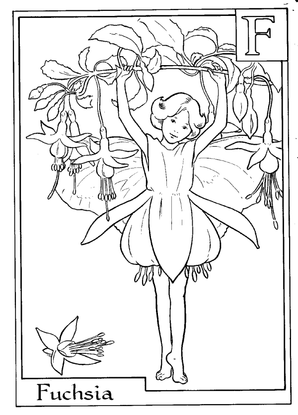 Letter F For Fuchsia Flower Fairy Coloring Page - Alphabet ...
