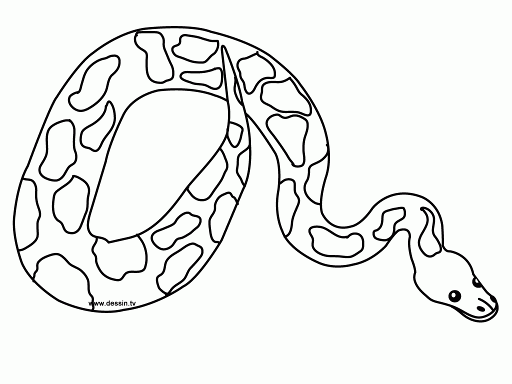 Python Coloring Pages - Coloring Home