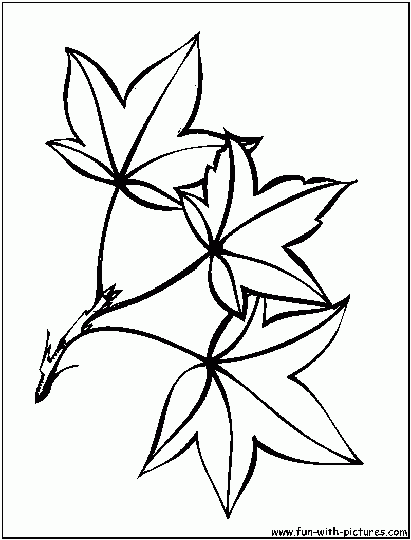 Related Leaf Coloring Pages item-13094, Leaf Coloring Pages Fall ...