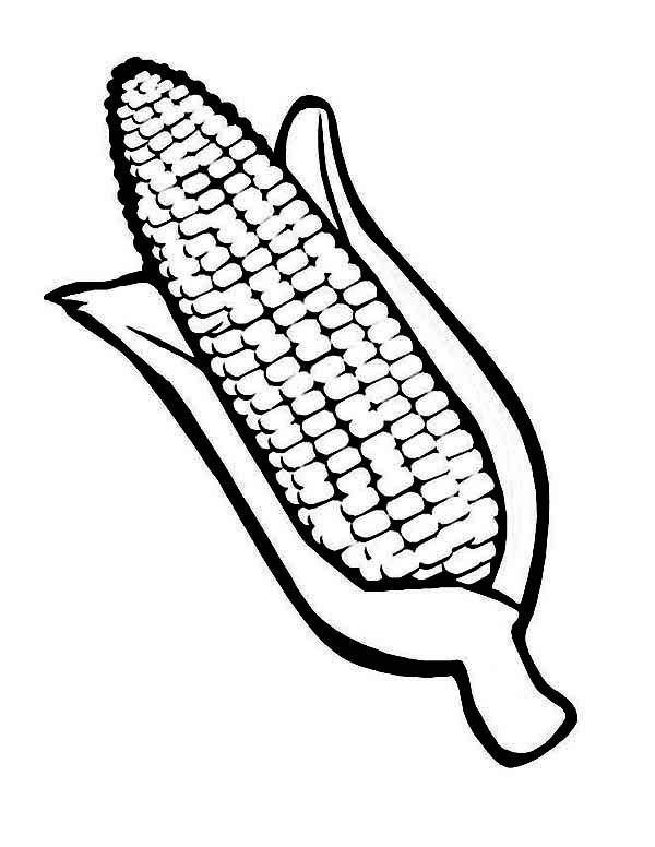 Drawing Corn Cob Coloring Page : Coloring Sun in 2020 | Coloring pages,  Fall coloring sheets, Shape coloring pages