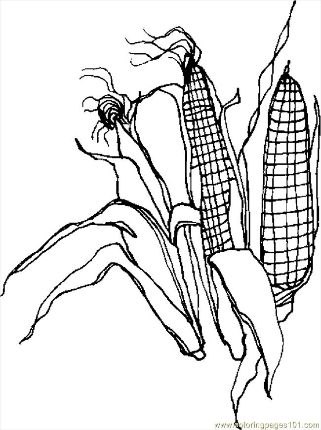 Corn 2 Coloring Page - Free Thanksgiving Day Coloring Pages :  ColoringPages101.com