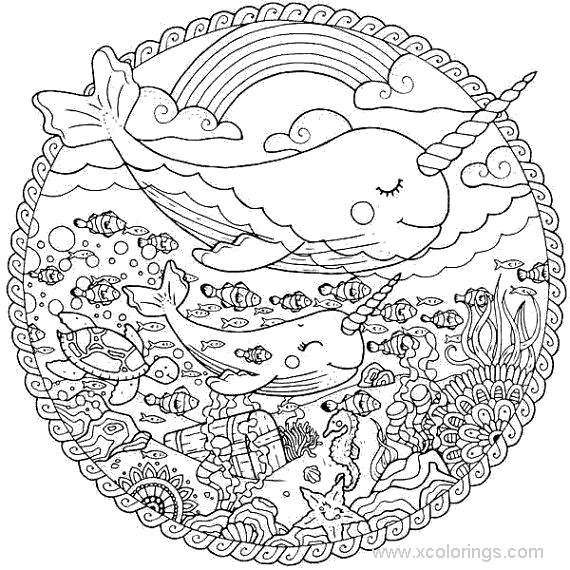 Narwhal Coloring Pages for Adult - XColorings.com