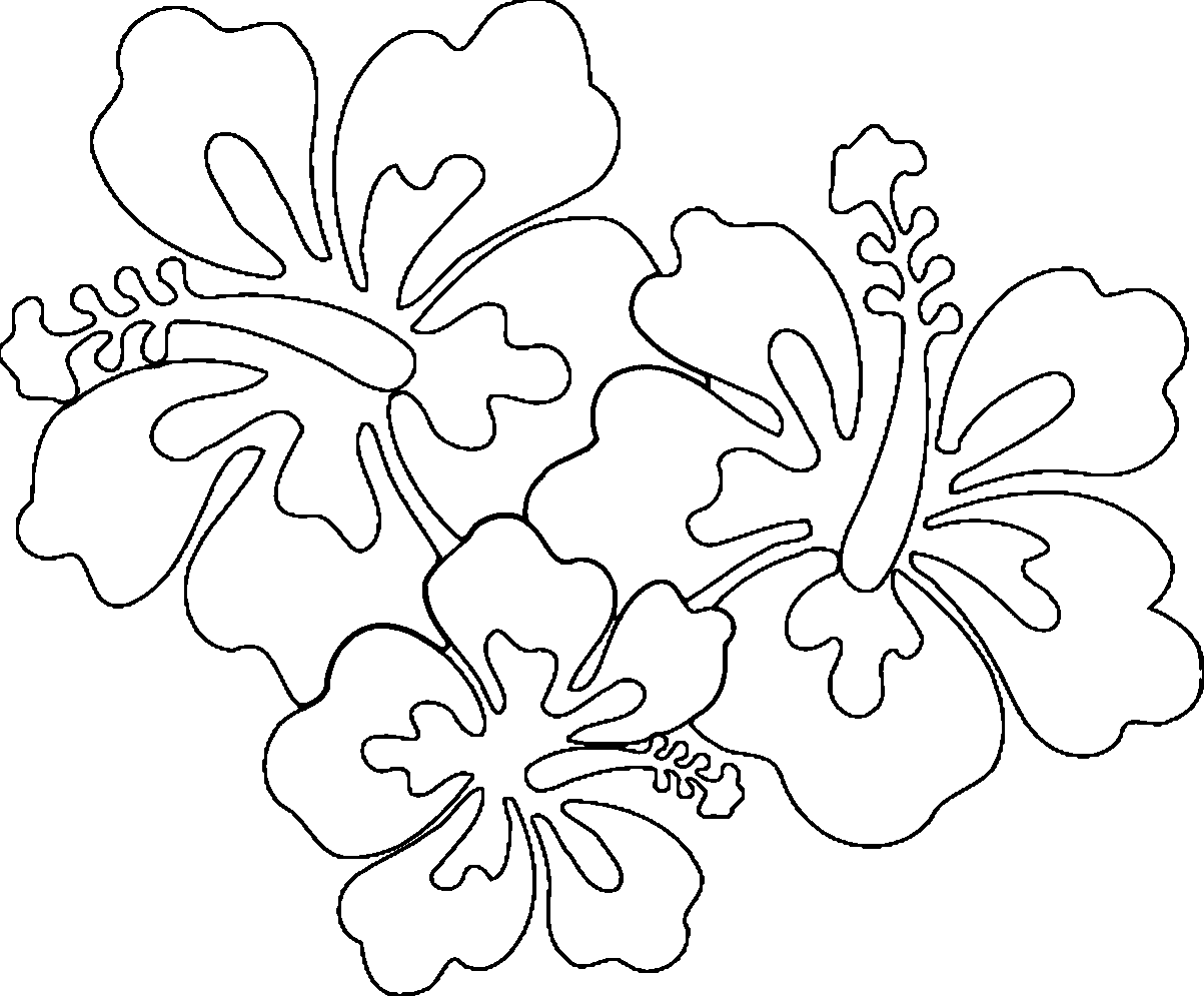 Hawaiian Flower Coloring Page Wecoloringpage 21 Wecoloringpage Coloring Home