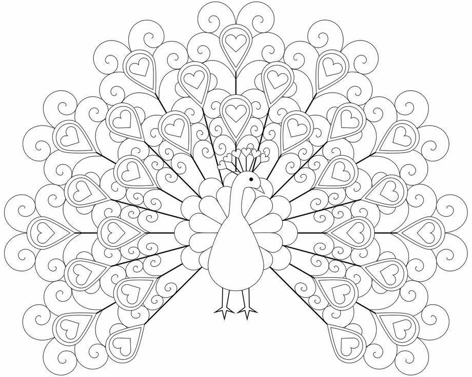 peacock embroidery | coloring pages | Pinterest | Toddler ...
