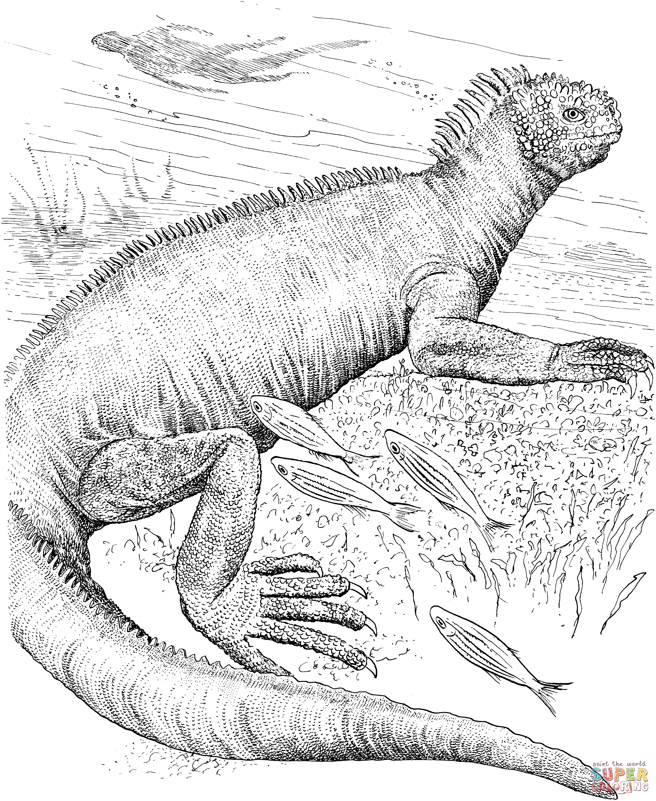 Galapagos animals coloring pages | Free Printable Pictures