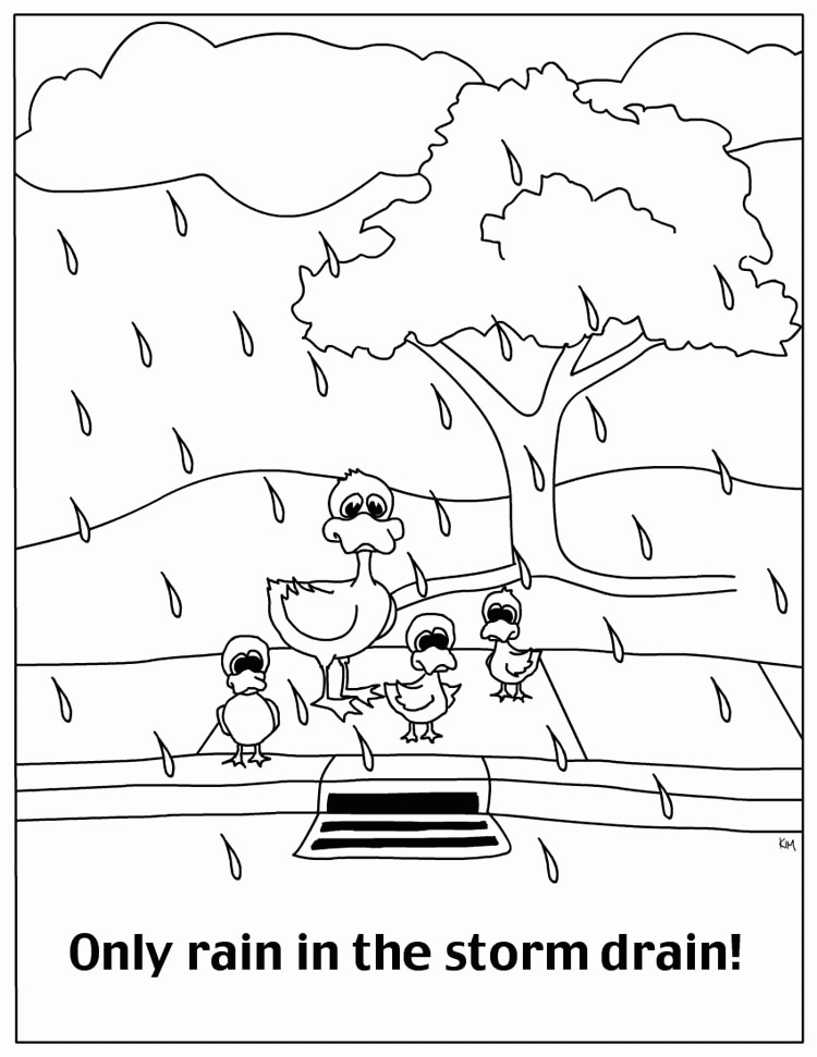 Simple Water Cycle Coloring Sheet - Pa-g.co