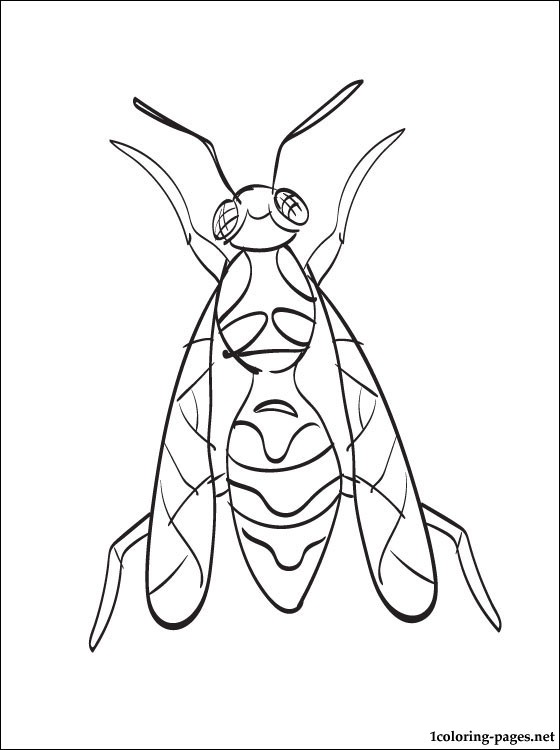 Wasp coloring page for free | Coloring pages