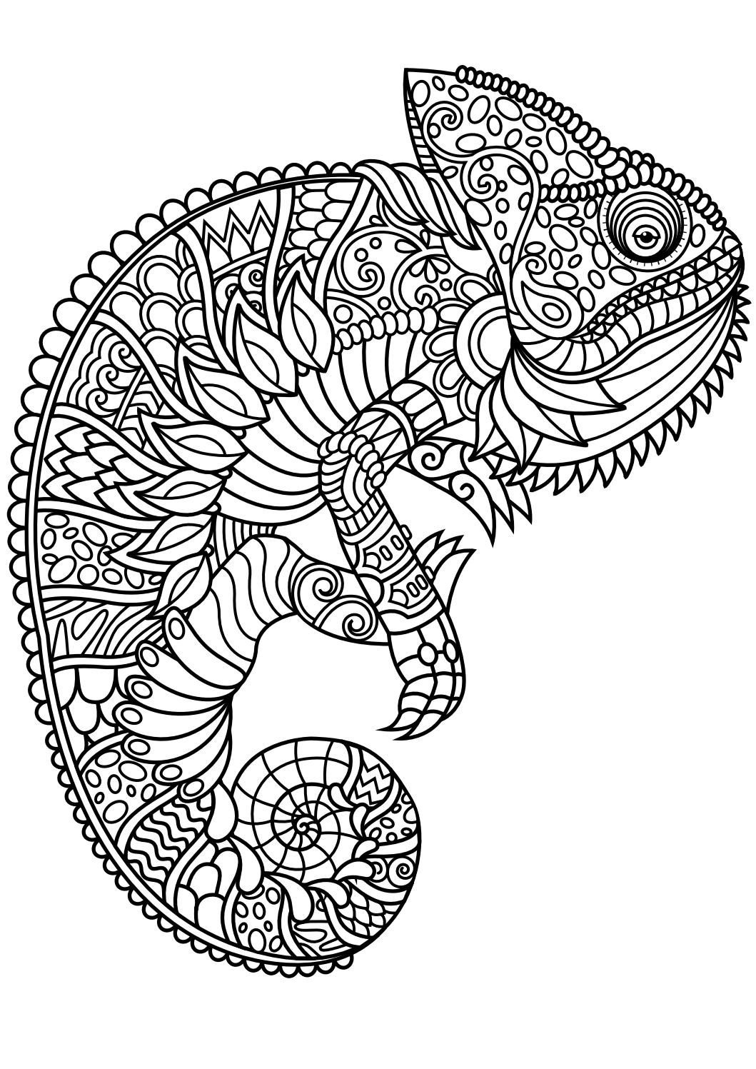 Animal Coloring Pages Pdf   Free Adult Coloring Pages, Animal ...