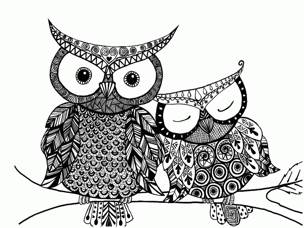 21 Free Pictures for: Owl Coloring Pages. Temoon.us