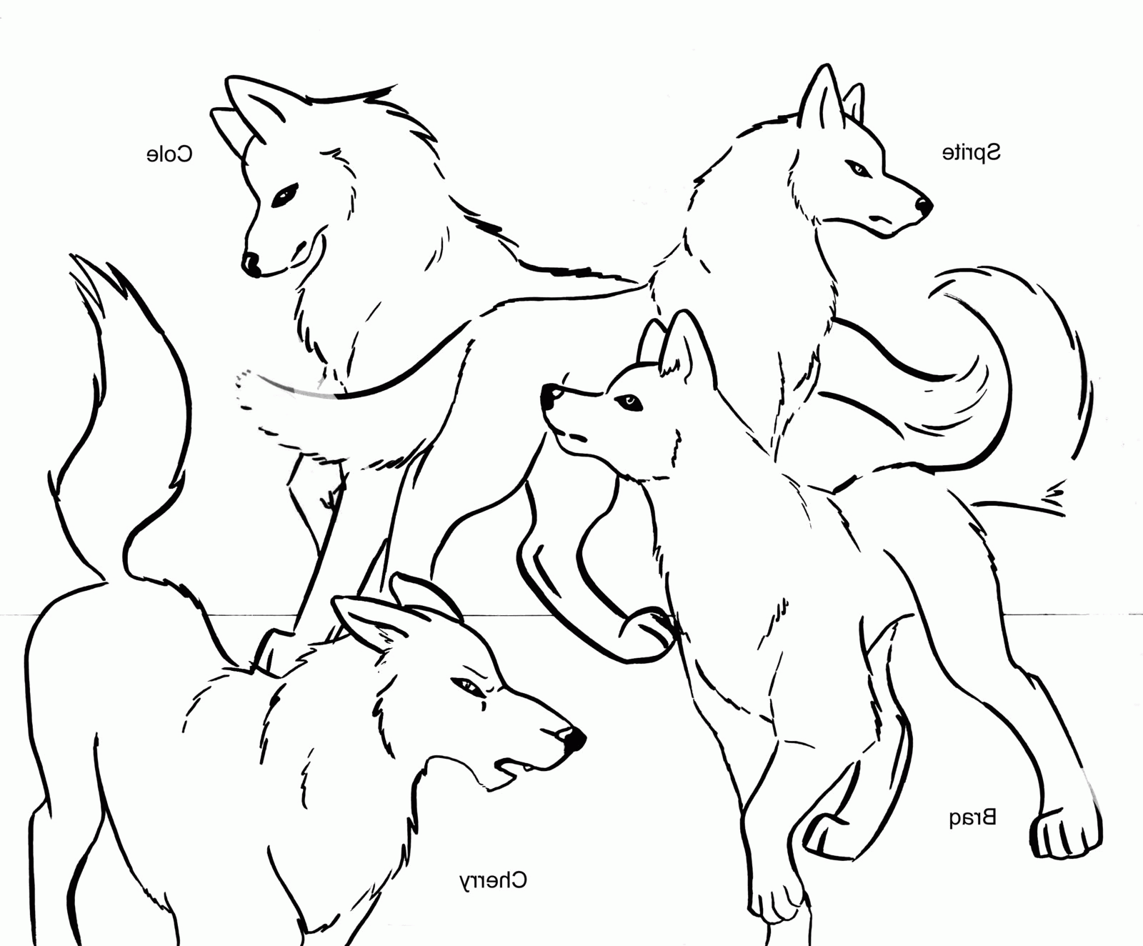 869 Simple Baby Wolf Coloring Pages with Animal character