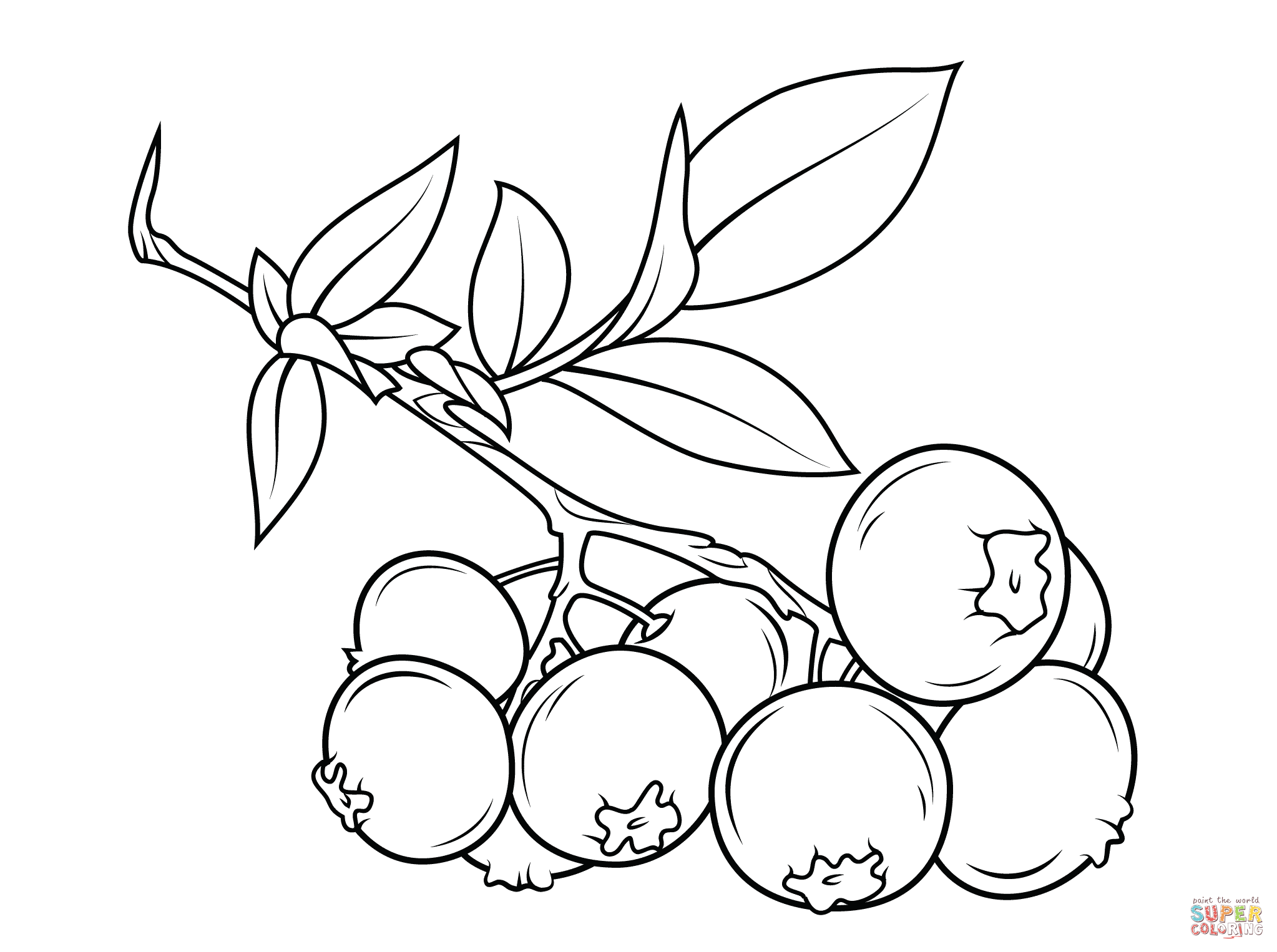Blueberry branch coloring page | Free Printable Coloring Pages