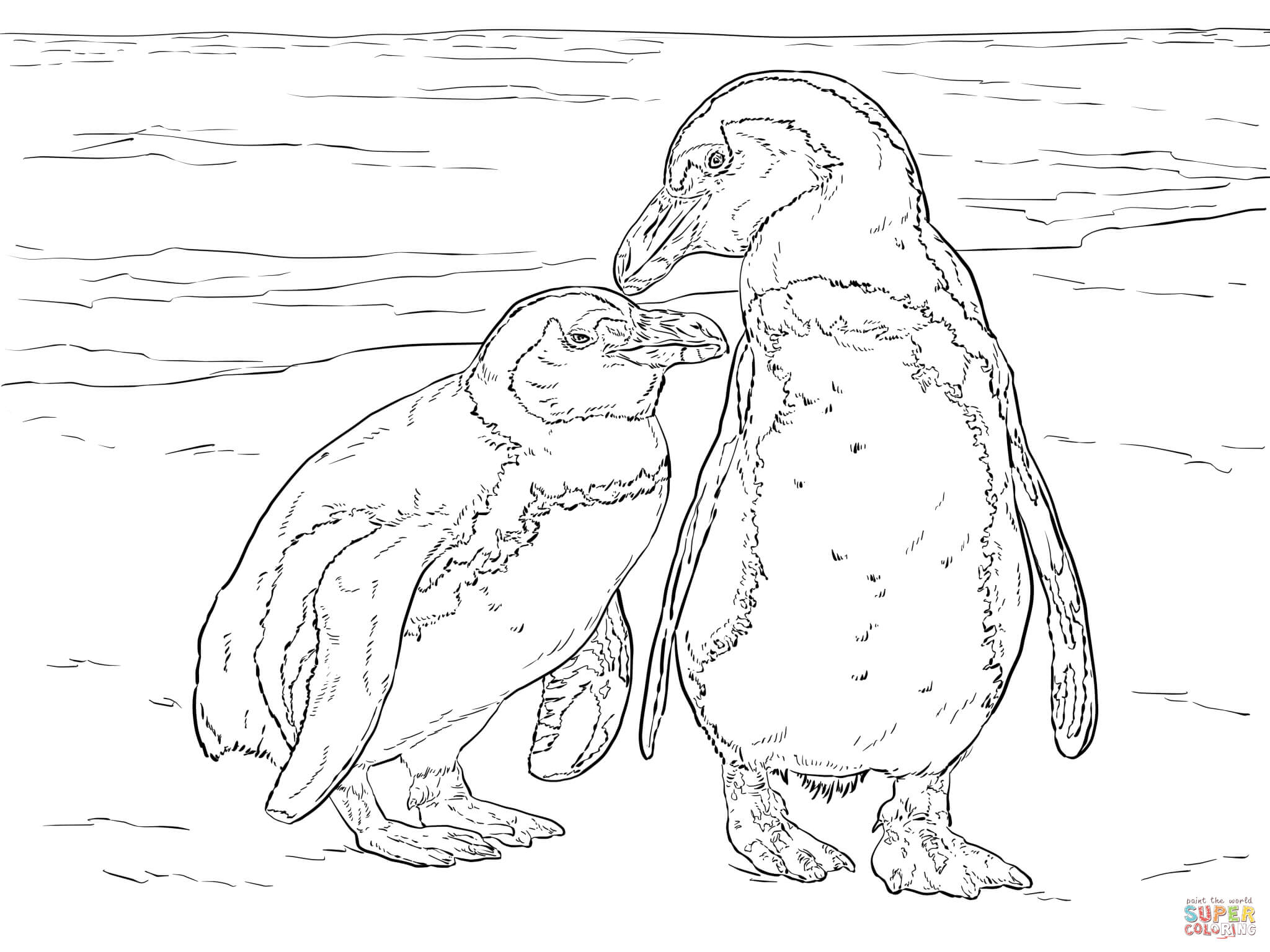 Two African Penguins coloring page | Free Printable Coloring Pages