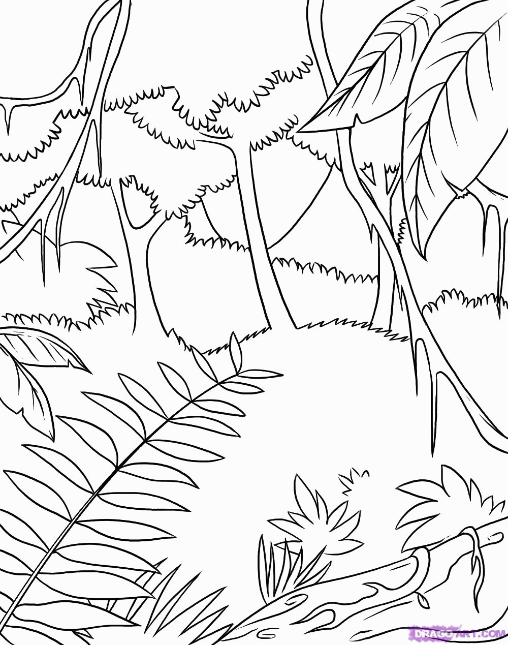 Coloring Pages Rainforest Trees - Coloring Page