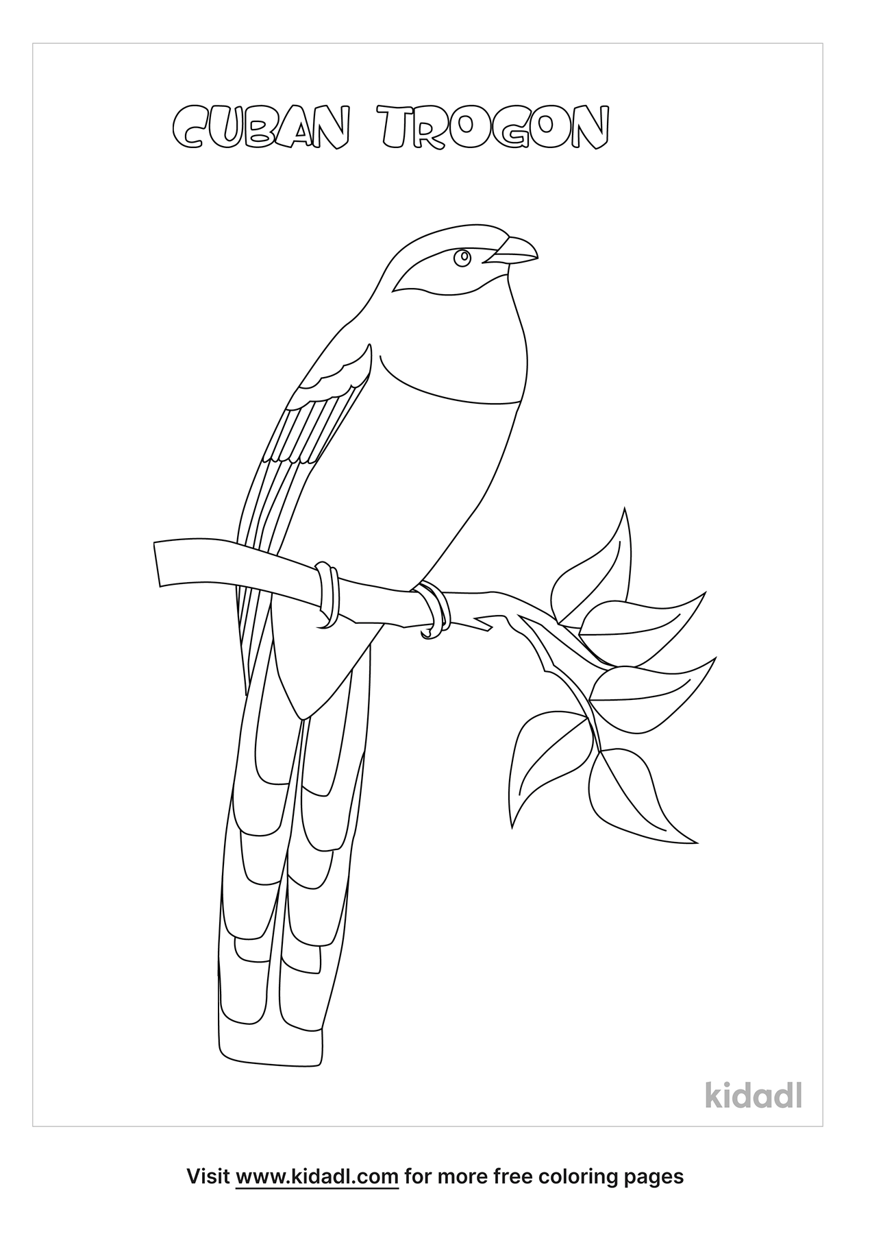 Cuban Trogon Coloring Pages | Free Birds Coloring Pages | Kidadl