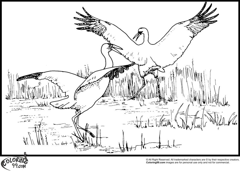 Stork Coloring Pages | Team colors