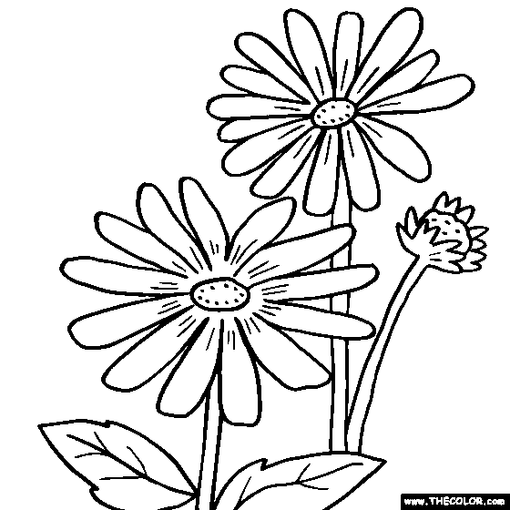 Wild Flowers Coloring Pages Coloring Home