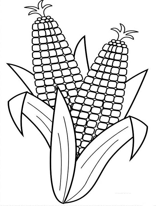 Harvesting Corn Coloring Page : Coloring Sun