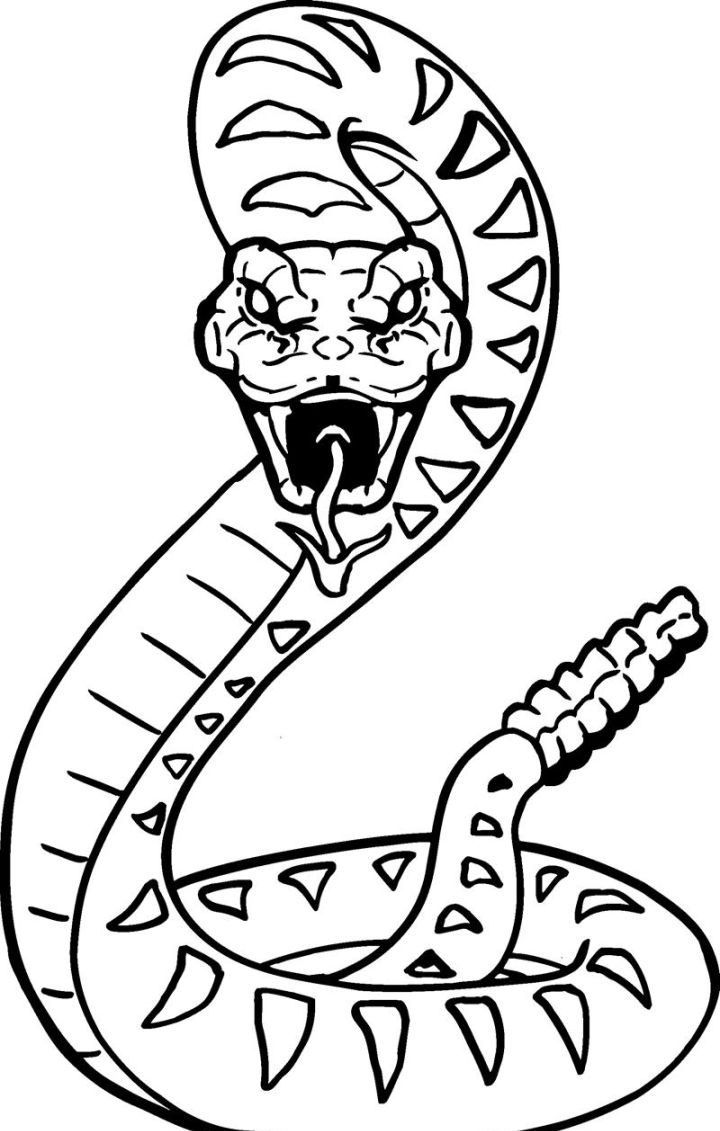Free Printable 21 Rattlesnake Coloring Pages With Images   Snake ...