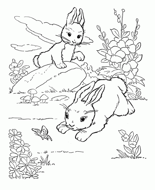 Rabbits Coloring Pages : Two Rabbits Playing In The Garden - Coloring Home