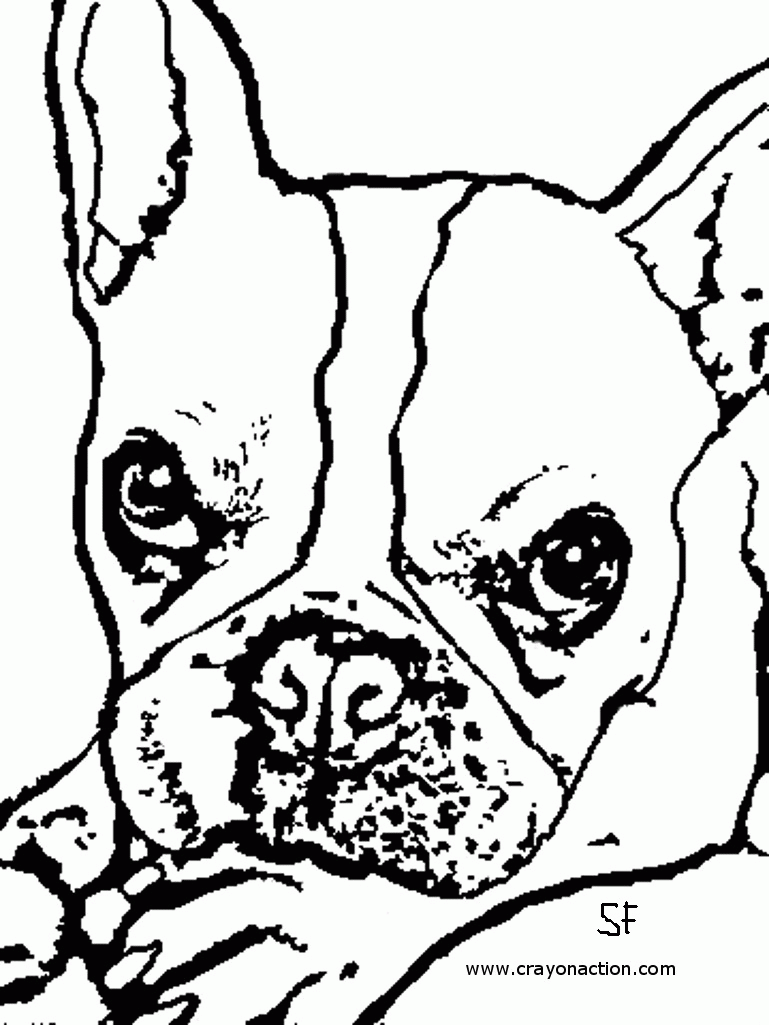 French Bulldog Coloring Page | Crayon Action Coloring Pages