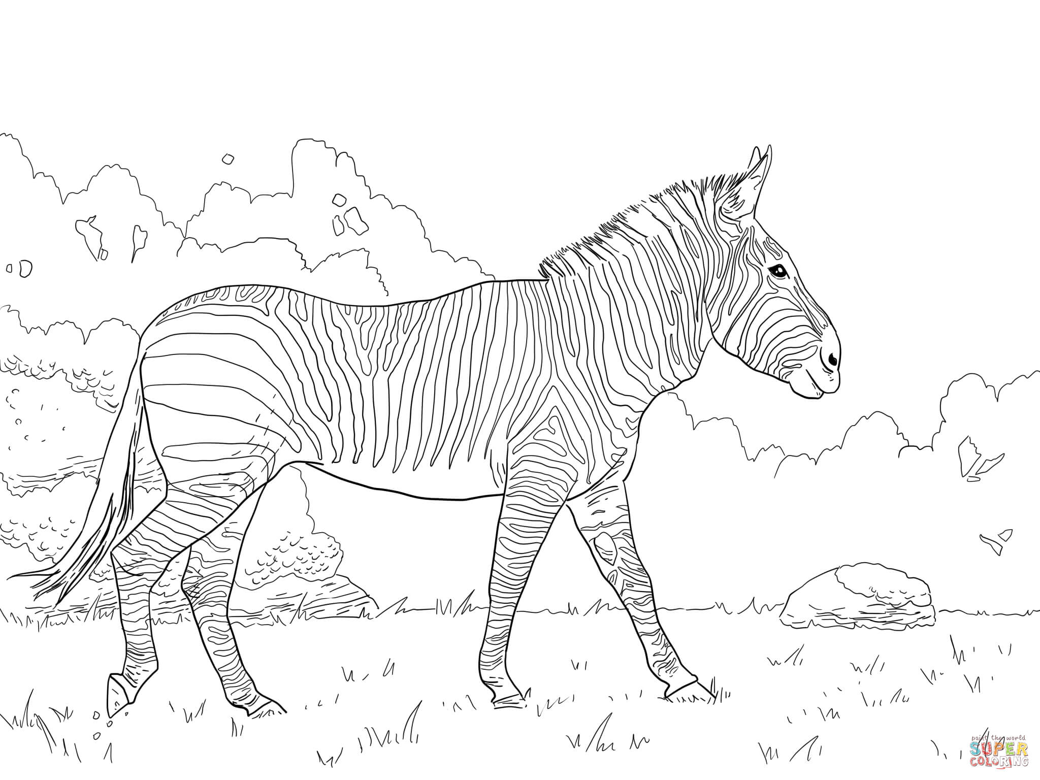 Zebras coloring pages | Free Coloring Pages
