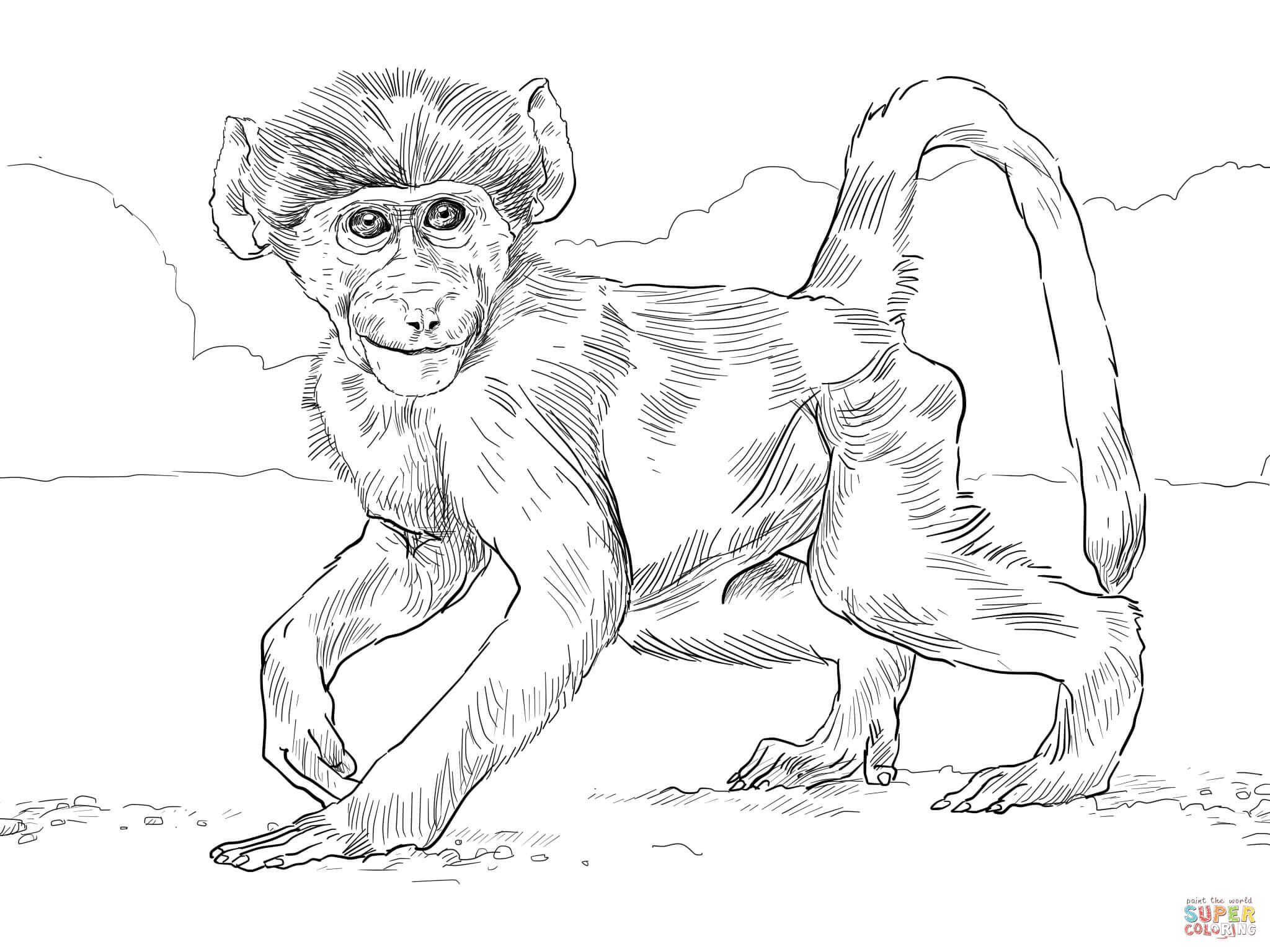 Realistic Monkey Coloring Pages Coloring Home