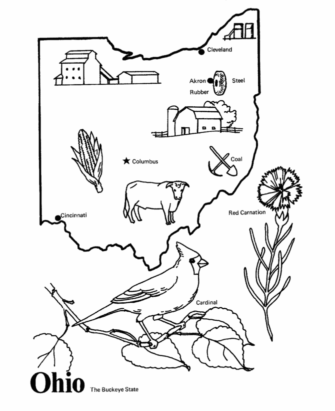 Ohio State outline Coloring Page | Coloring pages, Ohio history lessons,  Ohio map