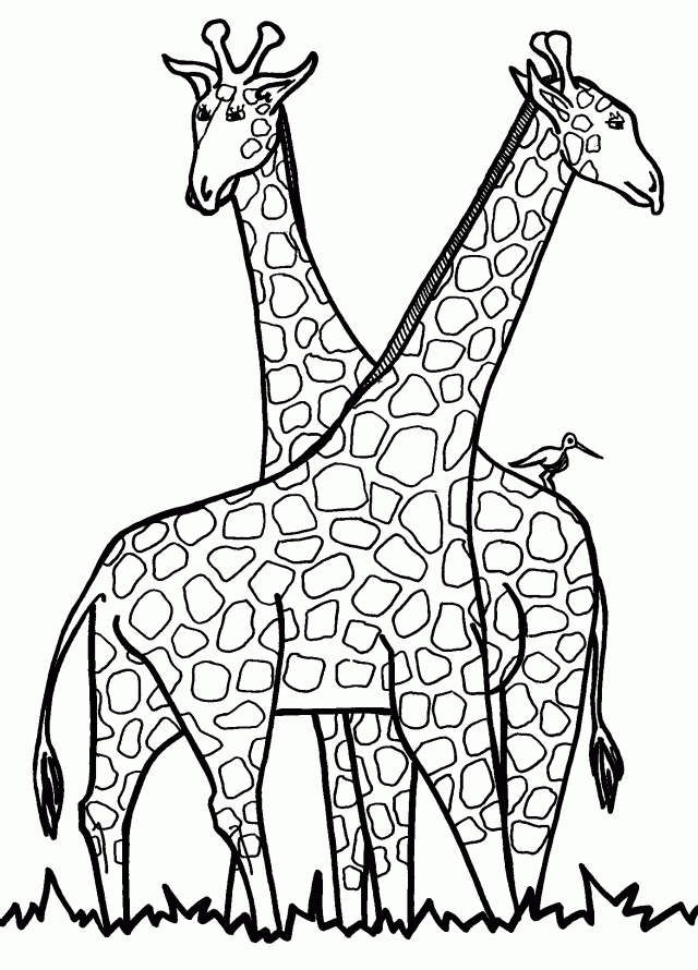 Giraffe Coloring Page For Kids Pictures Drawing And Coloring For 
