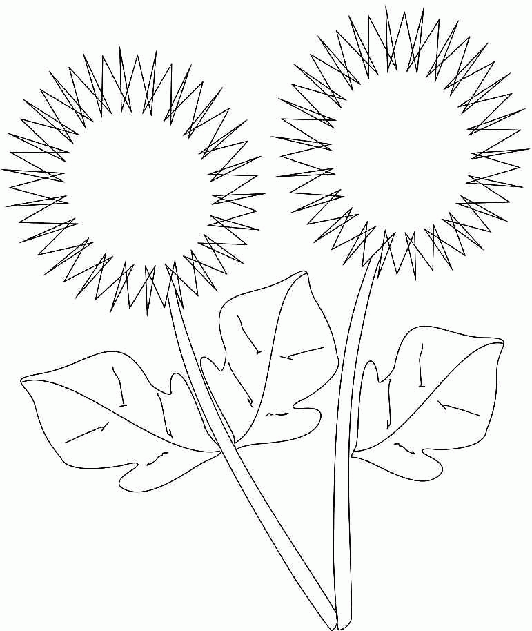 Sunflower Flowers Colouring Sheets Printable Free For Toddler 20546#