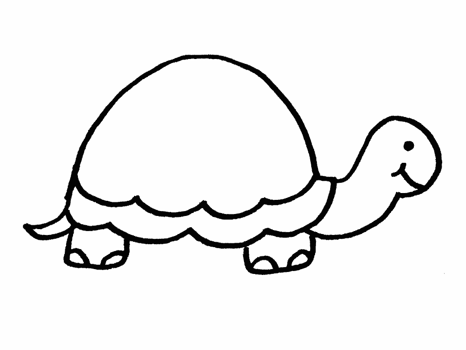 cartoon turtles coloring pages : Printable Coloring Sheet ~ Anbu 