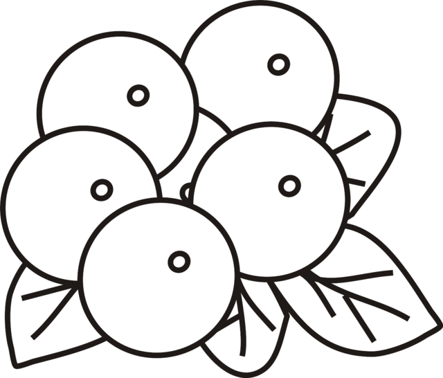 blueberries coloring page