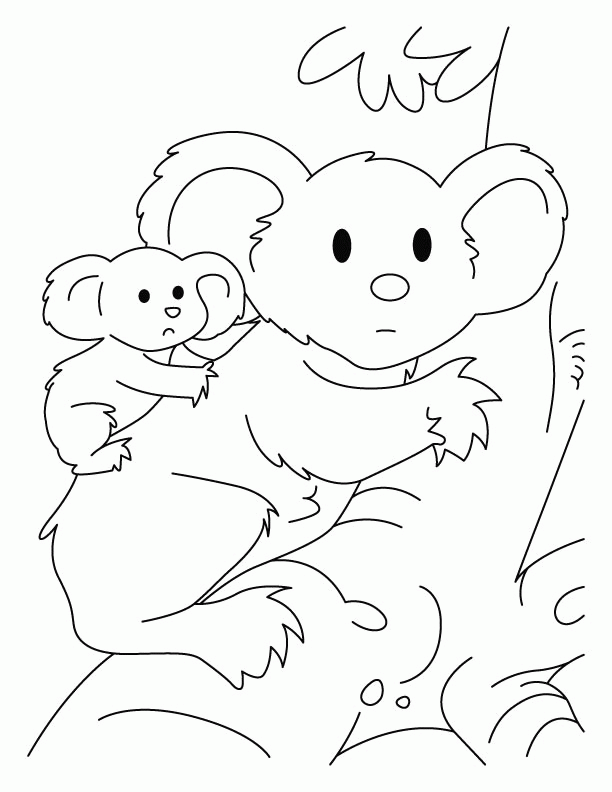 Koala with joey coloring pages | Download Free Koala with joey 