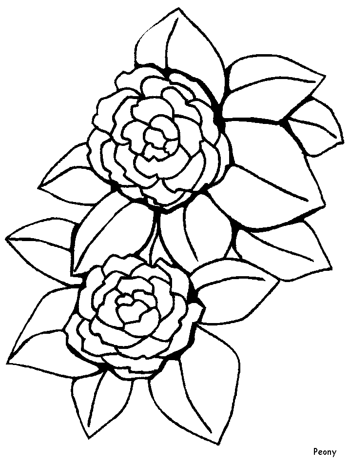 Page 5 | Flower coloring pages | Coloring-